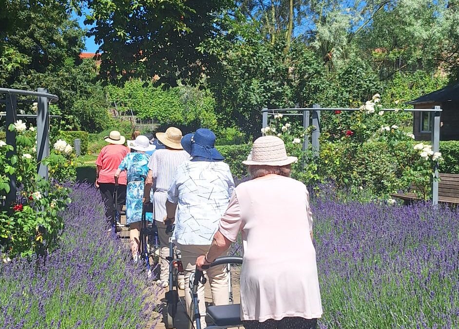 Sommerausflug in den Seepark Prenzlau