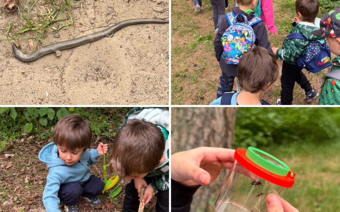 Kindertag im Wald – Ein unvergessliches Abenteuer